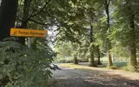 Galeria aktualności Prace na ulicy Postępu Rolniczego 2
