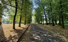 Galeria aktualności Prace na ulicy Postępu Rolniczego 6