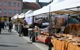 Galeria aktualności Za nami pierwszy dzień 20. Dni Patrona Miasta Płońska 20