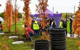 Galeria aktualności 50 nowych drzew w Płońsku 50-lecie Mondelez International 1