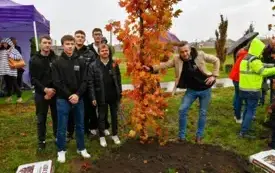 Galeria aktualności 50 nowych drzew w Płońsku 50-lecie Mondelez International 4