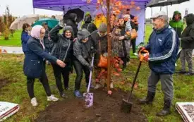 Galeria aktualności 50 nowych drzew w Płońsku 50-lecie Mondelez International 5