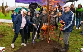 Galeria aktualności 50 nowych drzew w Płońsku 50-lecie Mondelez International 6