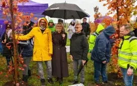 Galeria aktualności 50 nowych drzew w Płońsku 50-lecie Mondelez International 7