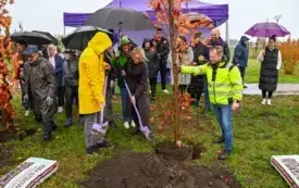 Galeria aktualności 50 nowych drzew w Płońsku 50-lecie Mondelez International 13