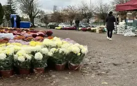 Przypominamy i zapraszamy na zakupy do lokalnych przedsiębiorc&oacute;w 5