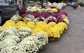 Przypominamy i zapraszamy na zakupy do lokalnych przedsiębiorc&oacute;w 7
