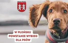 Galeria aktualności Umowa na budowę wybiegu dla ps&oacute;w podpisana 5