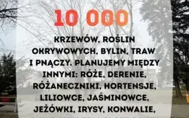 Galeria aktualności Park wypięknieje 3