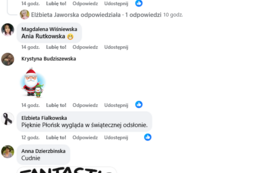 Galeria aktualności Nowa iluminacja już zachwyca mieszkańc&oacute;w &ndash; dziś Płońskie Mikołajki! 5