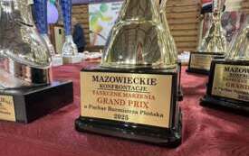 Galeria aktualności Taneczna Marzenia 2025 11