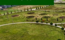 Galeria aktualności Ponad 1 000 000 zł dla Miasta Płońsk - przybędzie 2 800 nowych roślin, powstanie nowa łąka kwietna&nbsp; 1