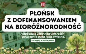 Galeria aktualności Ponad 1 000 000 zł dla Miasta Płońsk - przybędzie 2 800 nowych roślin, powstanie nowa łąka kwietna&nbsp; 2
