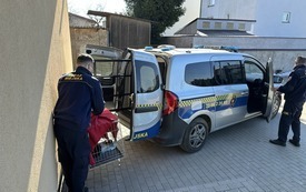 Galeria aktualności Ruszyły zabiegi dla kot&oacute;w wolno żyjących 1