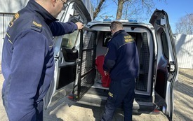 Galeria aktualności Ruszyły zabiegi dla kot&oacute;w wolno żyjących 2