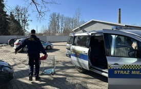Galeria aktualności Ruszyły zabiegi dla kot&oacute;w wolno żyjących 4