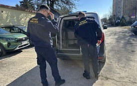 Galeria aktualności Ruszyły zabiegi dla kot&oacute;w wolno żyjących 8