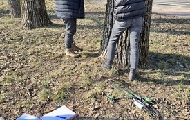 Galeria aktualności Nowoczesna diagnostyka drzew nad zbiornikiem 3