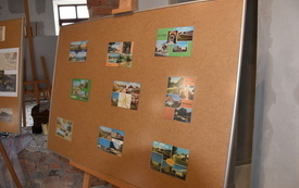 Galeria aktualności Muzeum 20