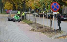 Nowe nasadzenia przy ul. 1 Maja