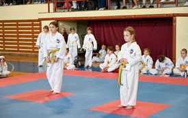 Galeria aktualności Międzywojew&oacute;dzkie Mistrzostwa Mazowsza Taekwon-do 2026 6