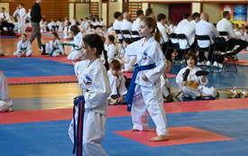 Galeria aktualności Międzywojew&oacute;dzkie Mistrzostwa Mazowsza Taekwon-do 2026 18