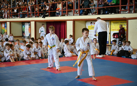 Galeria aktualności Międzywojew&oacute;dzkie Mistrzostwa Mazowsza Taekwon-do 2026 19