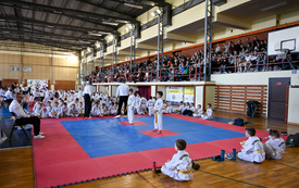 Galeria aktualności Międzywojew&oacute;dzkie Mistrzostwa Mazowsza Taekwon-do 2026 20