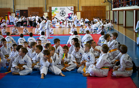 Galeria aktualności Międzywojew&oacute;dzkie Mistrzostwa Mazowsza Taekwon-do 2026 21