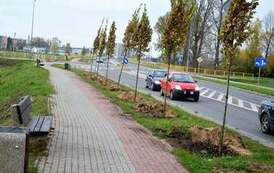 Rewitalizacja miejskich skwer&oacute;w i pas&oacute;w zieleni