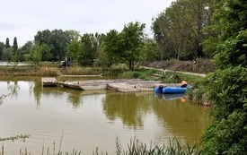 Galeria aktualności Nie ustają prace na Rutkach - trwa montaż palisady 5