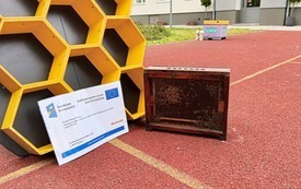 Galeria aktualności Jestem ECO, bądź i TY 3
