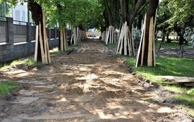 Galeria aktualności Widać pierwsze efekty modernizacji Parku Konstytucji 3 Maja 1