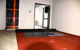 Galeria aktualności Czerwony dywan rozwijamy... dla naszych sportowc&oacute;w! 4