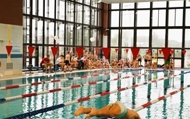 Galeria aktualności Pływam, bo lubię &ndash; zawody pływackie w Płońsku pełne sportowych emocji 25