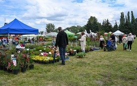 Galeria aktualności Pierwszy dzień XXVI Mazowieckich Dni Rolnictwa za nami 27