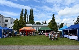 Galeria aktualności Pierwszy dzień XXVI Mazowieckich Dni Rolnictwa za nami 29