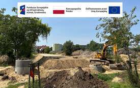 Galeria aktualności Zbiorniki retencyjne, 10 wygodnych hamak&oacute;w i ponad 1700 nowych roślin - nad Płonką trwa zielona rewolucja 1