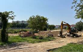 Galeria aktualności Zbiorniki retencyjne, 10 wygodnych hamak&oacute;w i ponad 1700 nowych roślin - nad Płonką trwa zielona rewolucja 2