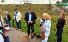 Galeria aktualności Wybieg dla ps&oacute;w przy ul. Żołnierzy Wyklętych jest już dostępny &nbsp; 19