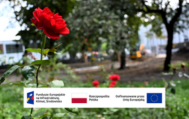 Galeria aktualności Rewitalizacja Parku Konstytucji 3 Maja 8