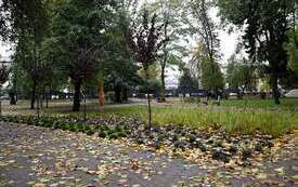 Galeria aktualności Park Konstytucji 3 Maja w Płońsku nabiera barw 5