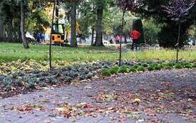 Galeria aktualności Park Konstytucji 3 Maja w Płońsku nabiera barw 6
