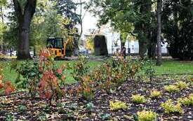 Galeria aktualności Park Konstytucji 3 Maja w Płońsku nabiera barw 9