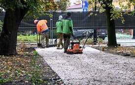 Galeria aktualności Park Konstytucji 3 Maja w Płońsku nabiera barw 10