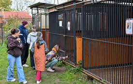Galeria aktualności Dzień Kundelka w Psiechowalni Stowarzyszenia "Uszy do G&oacute;ry" 3