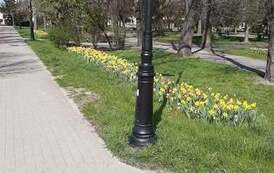 Nasze miasto wypięknieje na wiosnę 