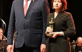 Płońskie Wieże