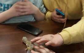 Wycieczka do zoo