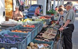 Wystartował M&oacute;j Rynek 
